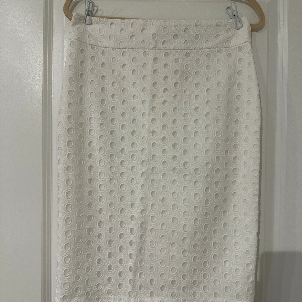 Ann Taylor Pencil Skirt